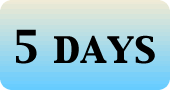 ５営業日